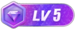 等级-LV5-33资源网