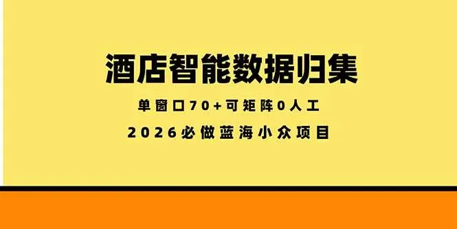 （18500期）酒店智能数据归集，小众蓝海已经稳定半年之久，单窗口70+零成本矩阵开干-33资源网
