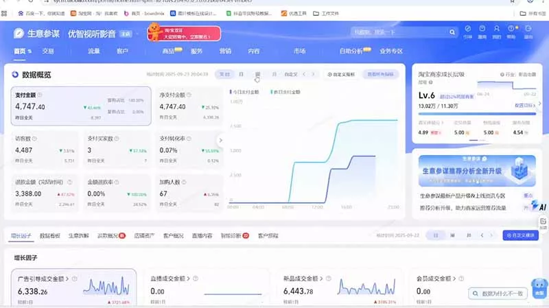 淘宝VIP特训课-更新0917：蓝海选品+付费投放｜短视频AI运营｜大促起爆全流程，破解店铺无流量无利润难题-33资源网