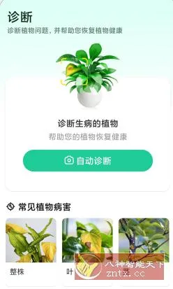 Plant Parent 植物养护v1.105高级版-33资源网