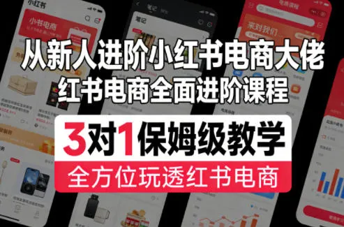 从新人进阶小红书电商大佬，红书电商全面进阶课程，3对1保姆级教学，全方位玩透红书电商-33资源网