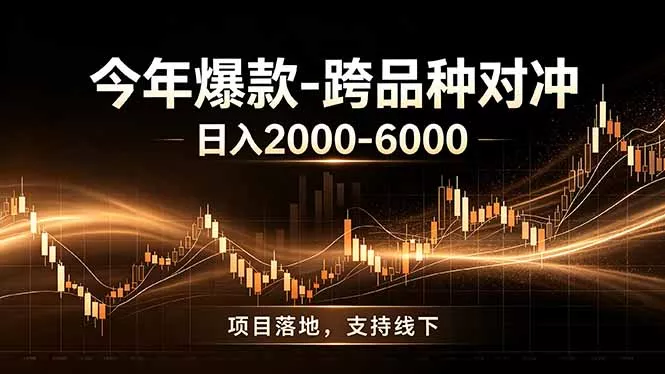 全新跨品种对冲模式上线！日稳定盈利 2000-6000，合规长久可批量放大-33资源网