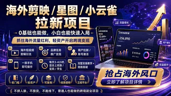 海外剪映 / 星图 / 小云雀拉新项目 普通人也能上手的跨境流量变现副业-33资源网