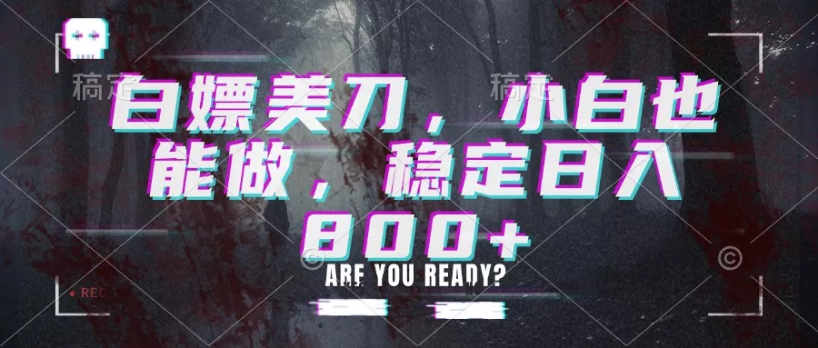 白嫖美刀，小白也能做，稳定日入800+-33资源网