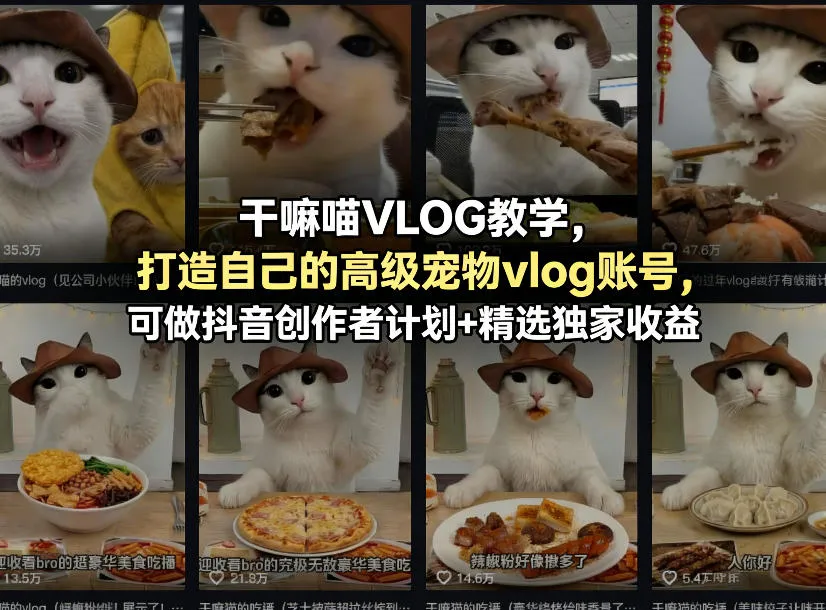 干嘛喵VLOG教学，打造自己的高级宠物vlog账号，可做抖音创作者计划+精选独家收益-33资源网