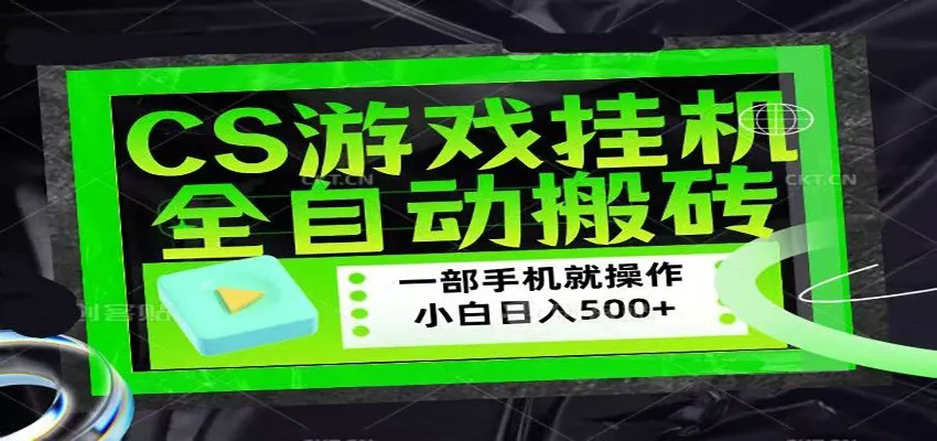 CSGO游戏挂机捡漏搬砖，超稳定的项目，带领1000+小白实现日入500+-33资源网