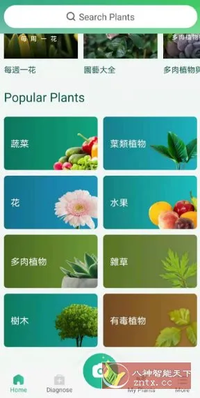 PictureThis 植物识别v5.23.0专业版-33资源网