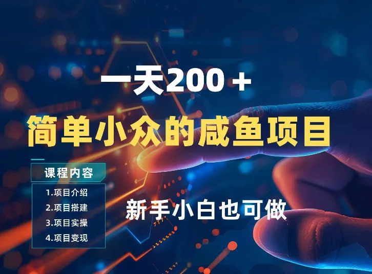 一天收入2张，一个简单小众的咸鱼项目，0门槛小白也能做-33资源网
