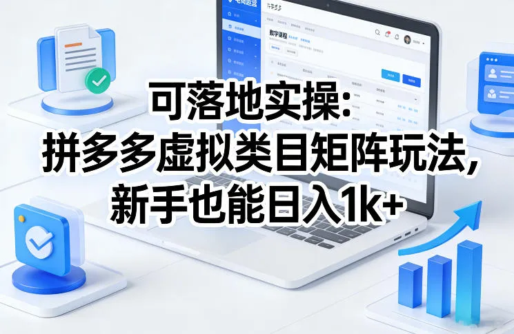 可落地实操：拼多多虚拟类目矩阵玩法，新手也能日入1k+【揭秘】-33资源网