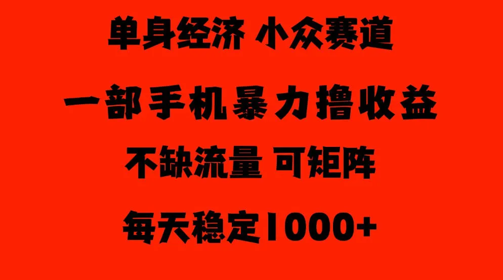 26年暴力单身经济,稳定日入500-1k,不缺流量,流量极大,冷门小众赛道,门槛低小白轻松上手【揭秘】-33资源网