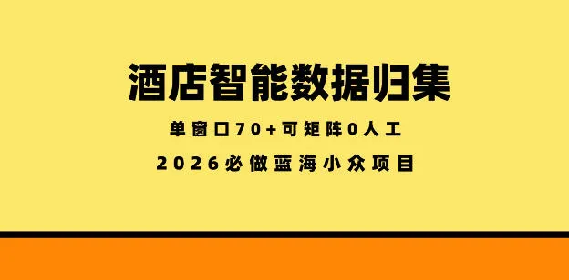酒店智能数据归集，小众蓝海已经稳定半年之久，单窗口70+零成本矩阵开干【揭秘】-33资源网