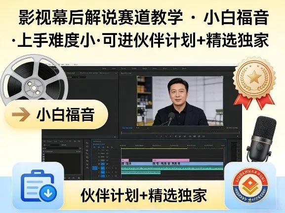 某大佬的影视幕后解说赛道教学，小白福音，上手难度小，可进伙伴计划+精选独家-33资源网