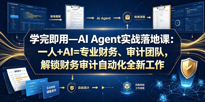 学完即用—AI Agent实战落地课:一人+AI=专业财务、审计团队,解锁财务审计自动化全新工作模式(更新0804)-33资源网