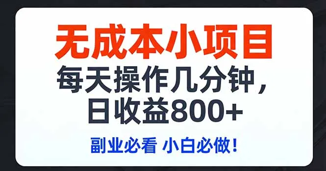 无成本小项目,每天操作几分钟,日收益800+ 副业必看 小白必做！-33资源网