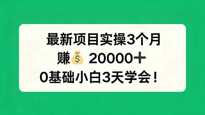 （17856期）最新项目实操3个月，赚钱20000+，0基础小白3天学会！-33资源网