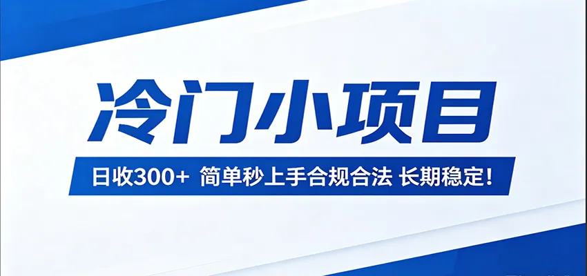 冷门小项目，日收300＋，简单秒上手合规合法，长期稳定！-33资源网