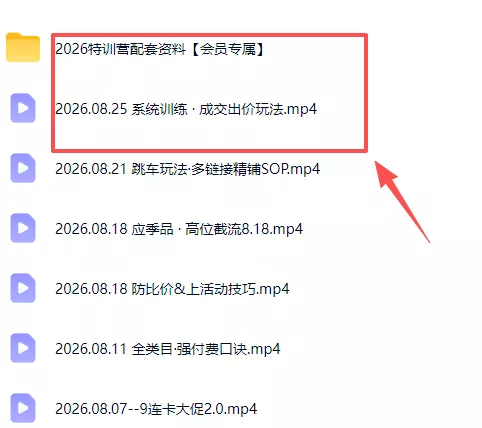 拼多多实战特训营(更新26年0827-33资源网