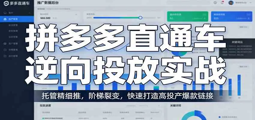 拼多多直通车逆向投放实战：托管精细推，阶梯裂变，快速打造高投产爆款链接-33资源网