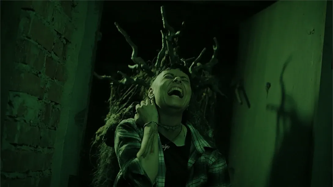 【美版】幽林深处 .Heart of the Forest 英语