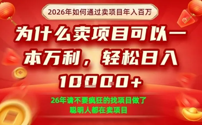 一单净利润1K+，26年想年入100个W，死磕卖项目就够了【揭秘】-33资源网