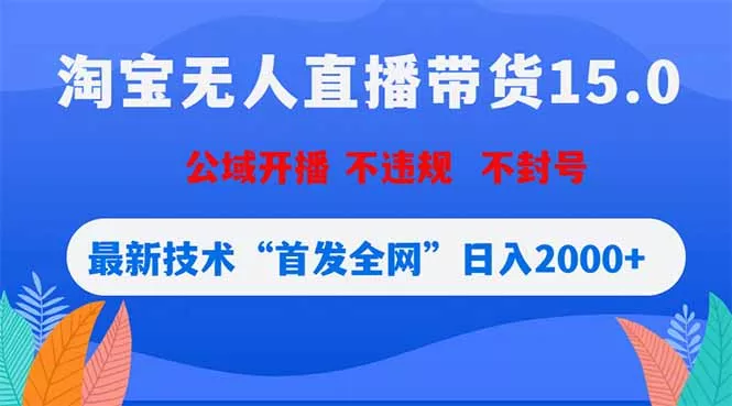 淘宝无人直播带货15.0，不封号，不违规，公域玩法，首发全网日入2000+-33资源网
