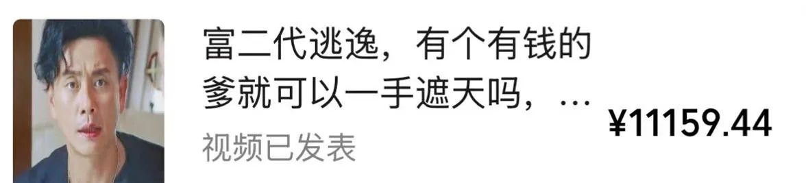视频号某大佬的影视搬运教学,纯手法操作,可以多个平台可以发布,撸分成计划+伙伴计划+光合计划收益等-33资源网