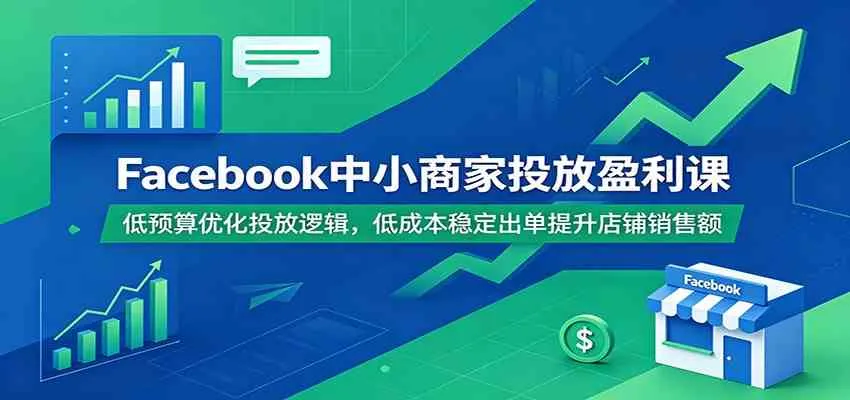 Facebook中小商家投放盈利课:低预算优化投放逻辑,低成本稳定出单提升店铺销售额-33资源网