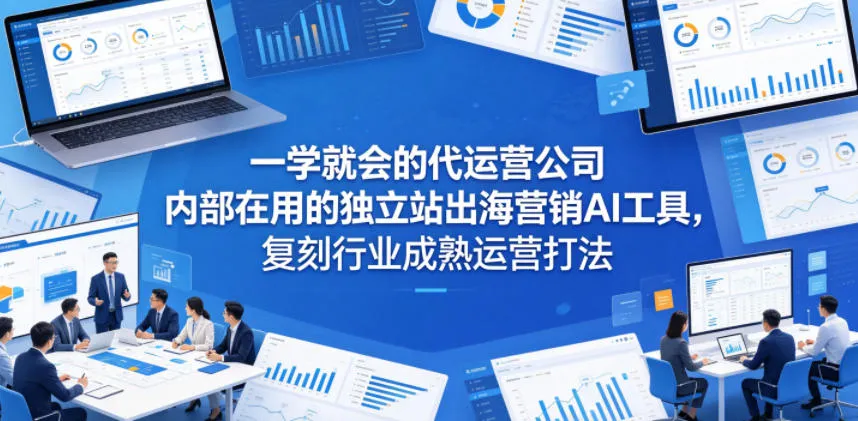 一学就会的代运营公司内部在用的独立站出海营销AI工具，复刻行业成熟运营打法-33资源网