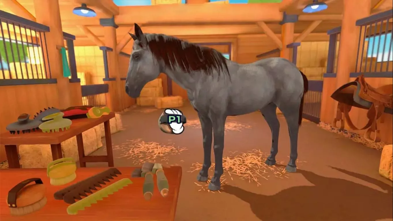 【德版】Dein erstes Pferd: DIE REITSCHULE 英语 【德版】Dein erstes Pferd: DIE REITSCHULE 英语