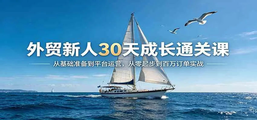 外贸新人30天成长通关课：从基础准备到平台运营，从零起步到百万订单实战-33资源网