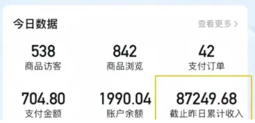 2026新手也能操作的带货玩法，用这个方法零门槛，轻松月入10000+-33资源网