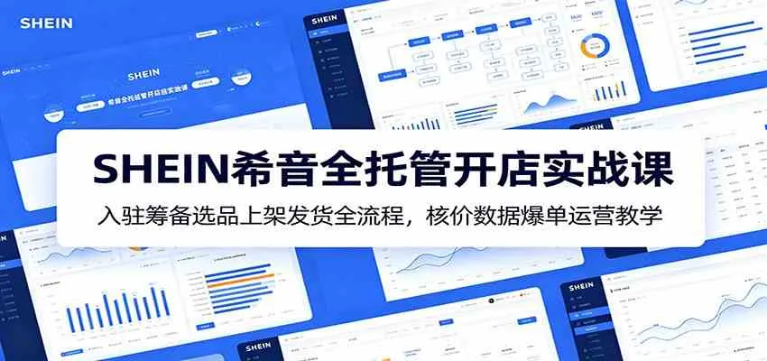 SHEIN希音全托管开店实战课：入驻筹备选品上架发货全流程，核价数据爆单运营教学-33资源网