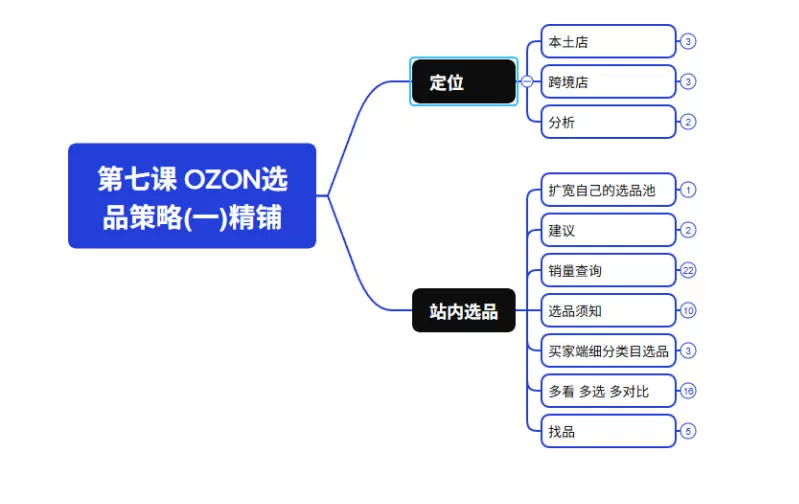 2026最新OZON全流程运营实操跨境电商平台教程,OZON全流程一站式系统学习必修课,从开店到跟卖到精铺-33资源网
