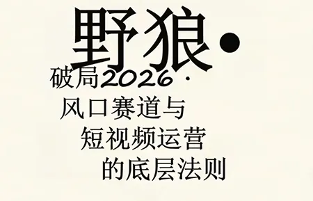 野狼团队·多平台实操运营课(更新4月)