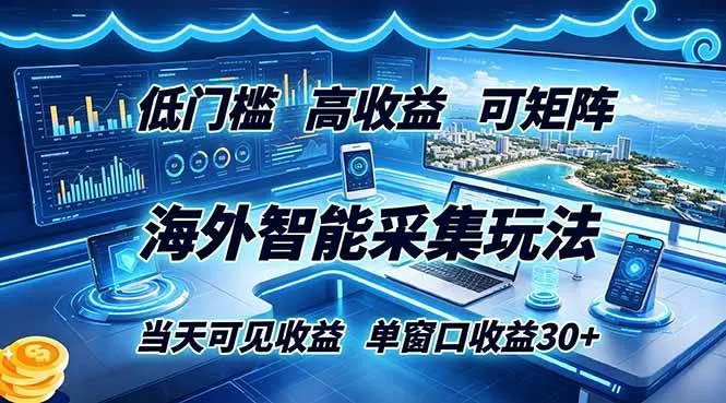 (18955期)海外智能采集玩法,低门槛高单价可矩阵,当天可见收益,单窗口30+-33资源网