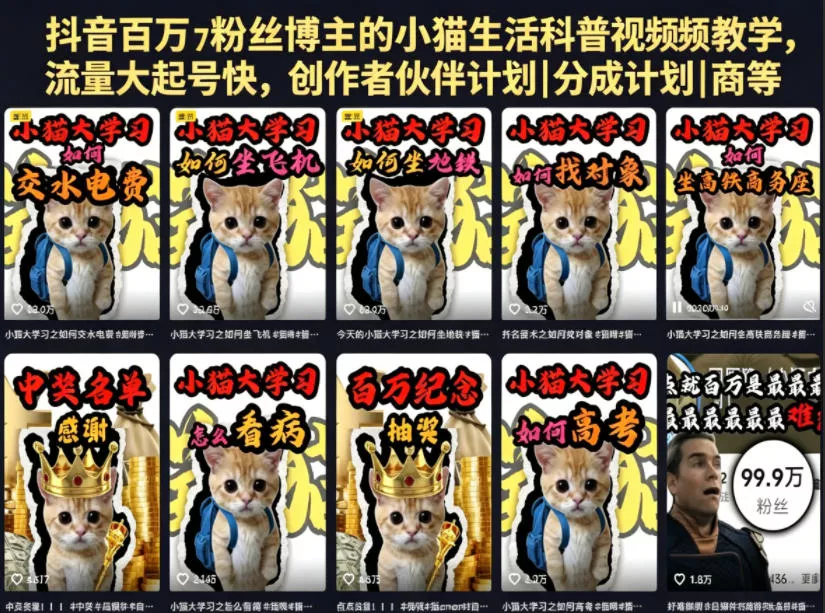 抖音百万粉丝博主的小猫生活科普视频教学，流量大起号快，创作者伙伴计划|分成计划|商单|收徒等-33资源网
