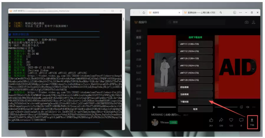 Github热门工具,视频号下载神器又来了!一键注入下载按钮,轻松下载,使用便捷wx_channel-33资源网