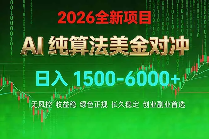 2026 全新美金对冲项目，不套平台赠金，不封号，纯算法对冲，日入 1500-6000+-33资源网