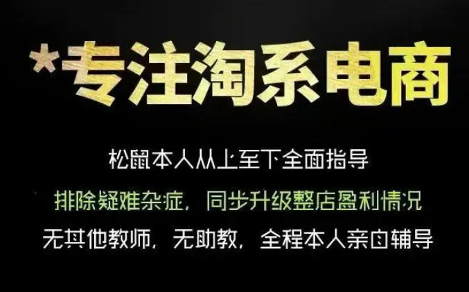 松鼠会电商VIP课程，从基础布局到高阶优化，助你掌握淘宝运营逻辑，提升店铺流量与转化（更新1015）-33资源网