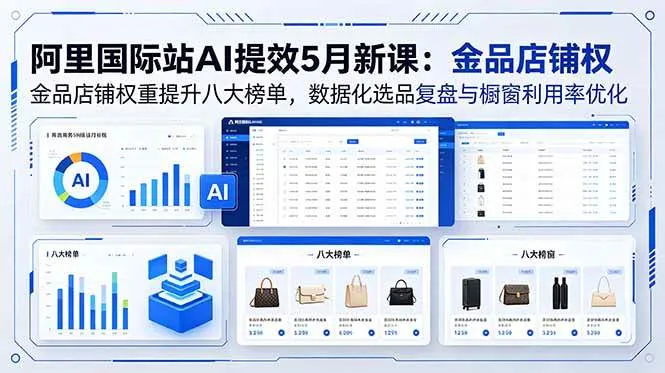 （18556期）阿里国际站AI提效5月新课：金品店铺权重提升八大榜单，数据化选品复盘与橱窗利用率优化-33资源网