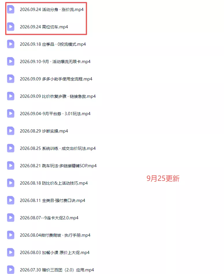 拼多多实战特训营(更新0926-33资源网