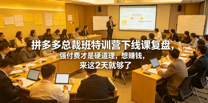 拼多多总裁班特训营下线课复盘,强付费才是硬道理,想賺钱,来这2天就够了-33资源网