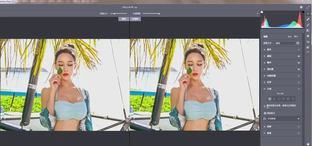 RAW处理Adobe Camera Raw v18.2.0中文版-33资源网