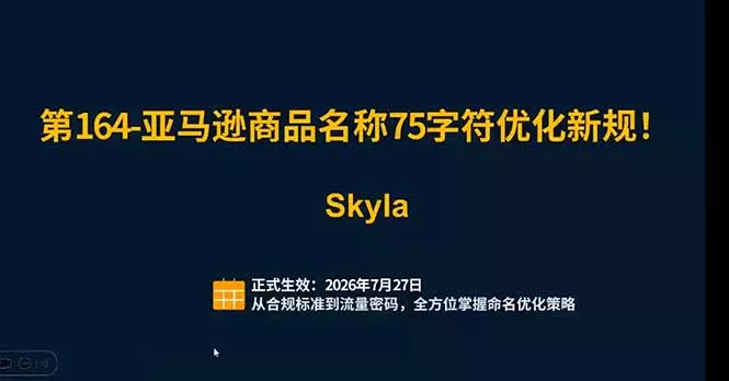 亚马逊跨境实战课：全品类选品逻辑｜SP/SB/SD广告精细化｜新品打爆旺季爆单全套运营教程-33资源网