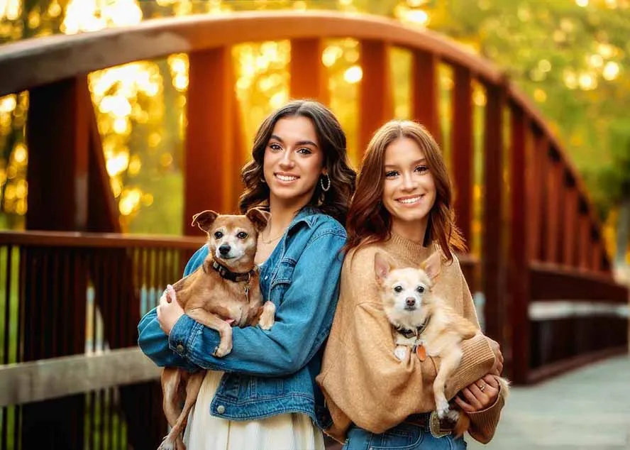 大师级GTG出品-老友记系列AI自适应预设The Friends Preset Collection-33资源网