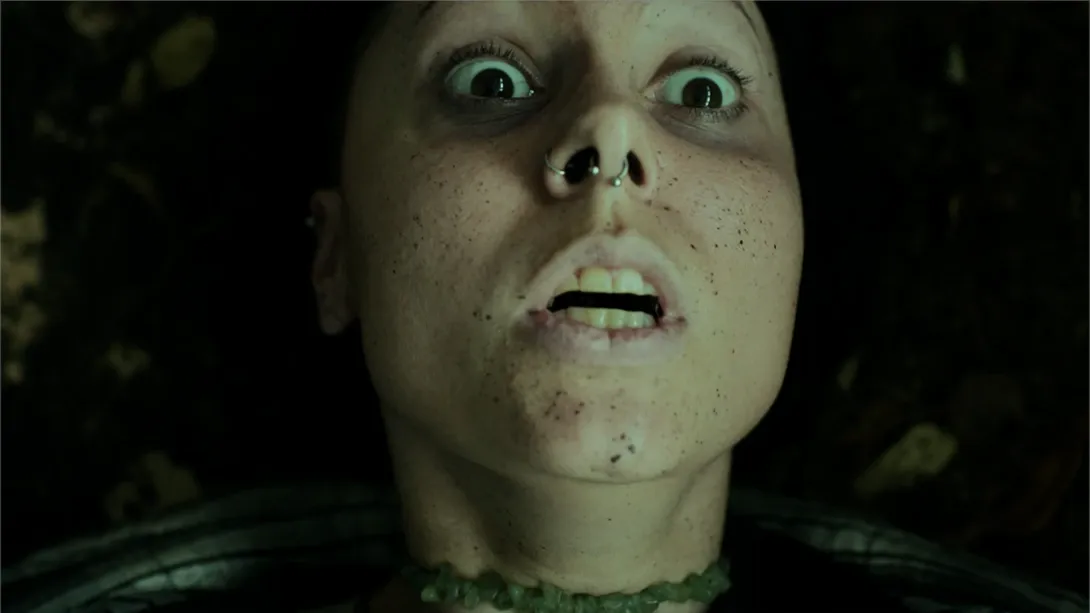 【美版】幽林深处 .Heart of the Forest 英语