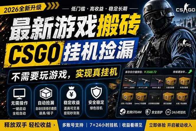 最新游戏搬砖，CSGO纯挂机，不需要玩游戏，实现真挂机，月入1W+，五一小高峰上车可吃肉，…-33资源网