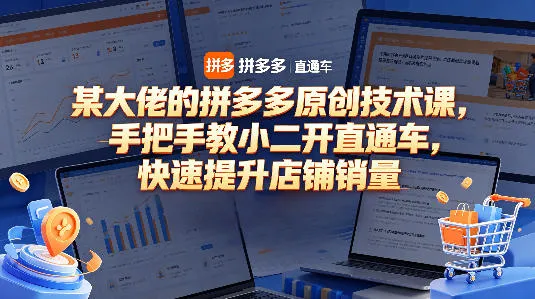 某大佬的拼多多原创技术课，手把手教小二开直通车，快速提升店铺销量-33资源网