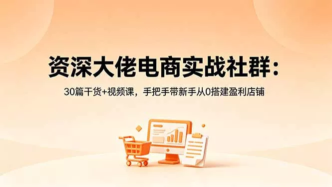 资深大佬电商实战社群：30篇干货+视频课，手把手带新手从0搭建盈利店铺-33资源网