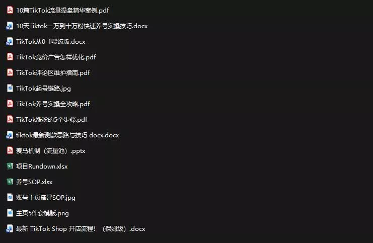 2026TikTok海外掘金实战课——养号SOP+爆款公式+选品测款+广告投流+Shop开店，跑通海外运营全链路-33资源网